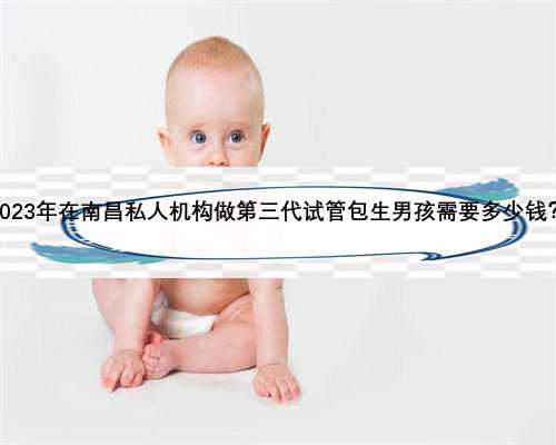 2023年在南昌私人机构做第三代试管包生男孩需要多少钱？